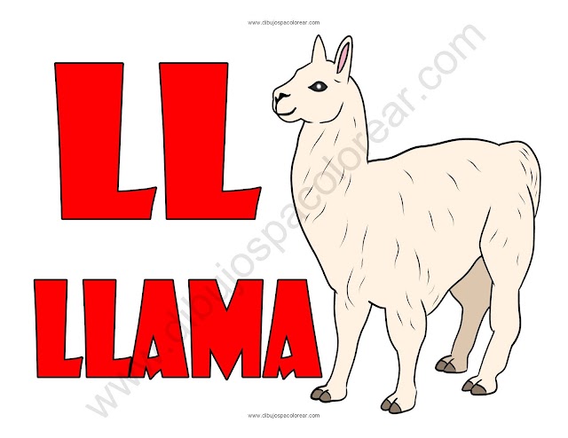 Llama letra LL abecedario dibujo a color y para colorear